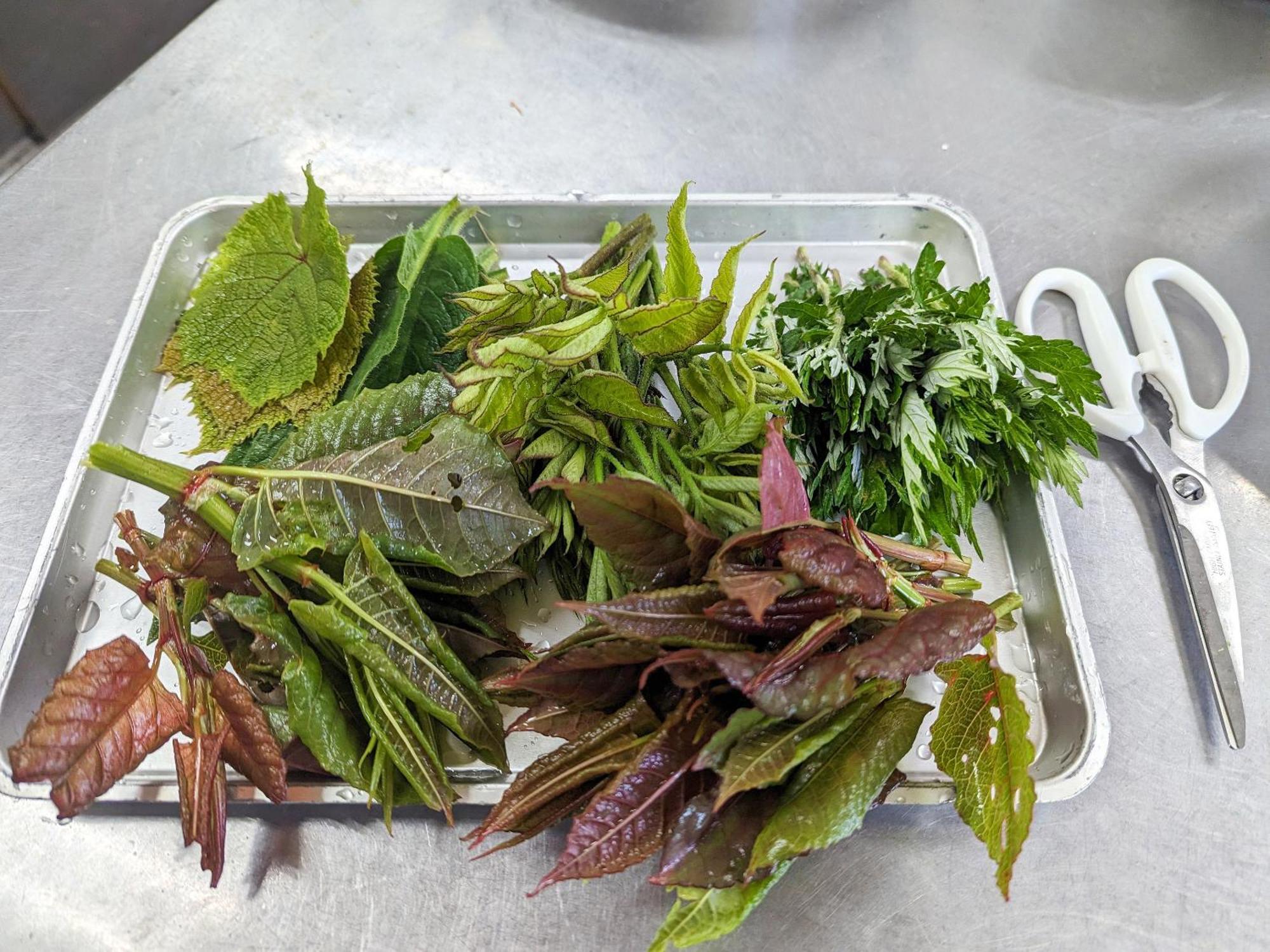 오요 료칸 사치노유 시가코겐 야마노우치 외부 사진