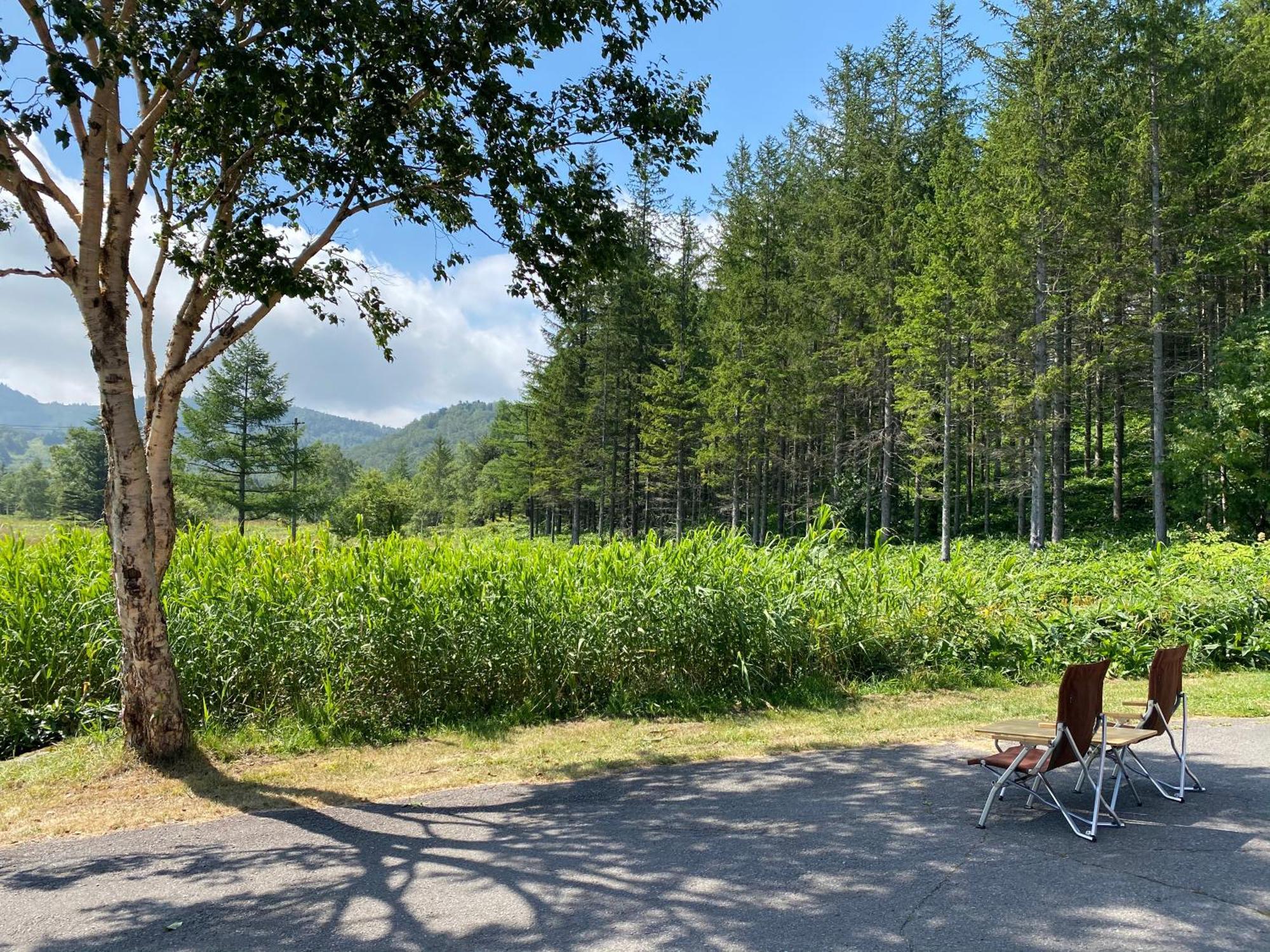 오요 료칸 사치노유 시가코겐 야마노우치 외부 사진